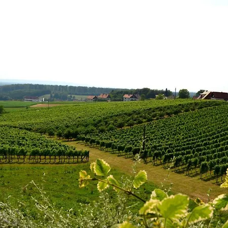 Gastehaus Friedrich Homestay